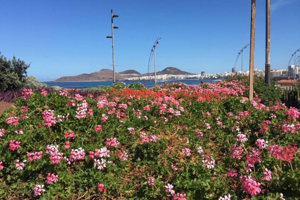 el Ático de Mateo 5A Las Palmas de Gran Canaria Exterior foto