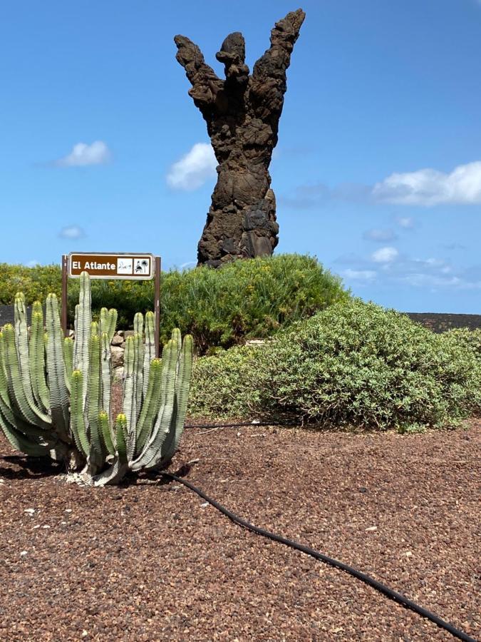 el Ático de Mateo 5A Las Palmas de Gran Canaria Exterior foto